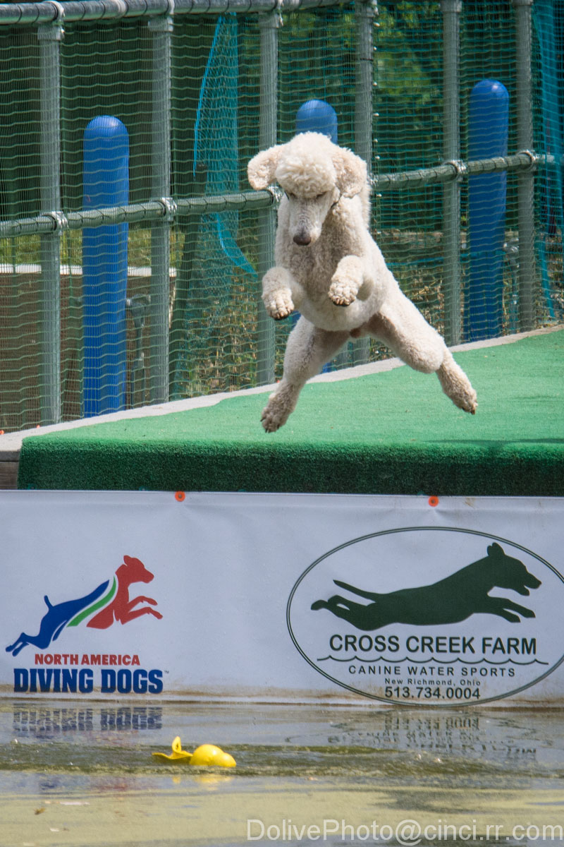 A few announcements from Cross Creek Farms Canine Water Sports LLC: