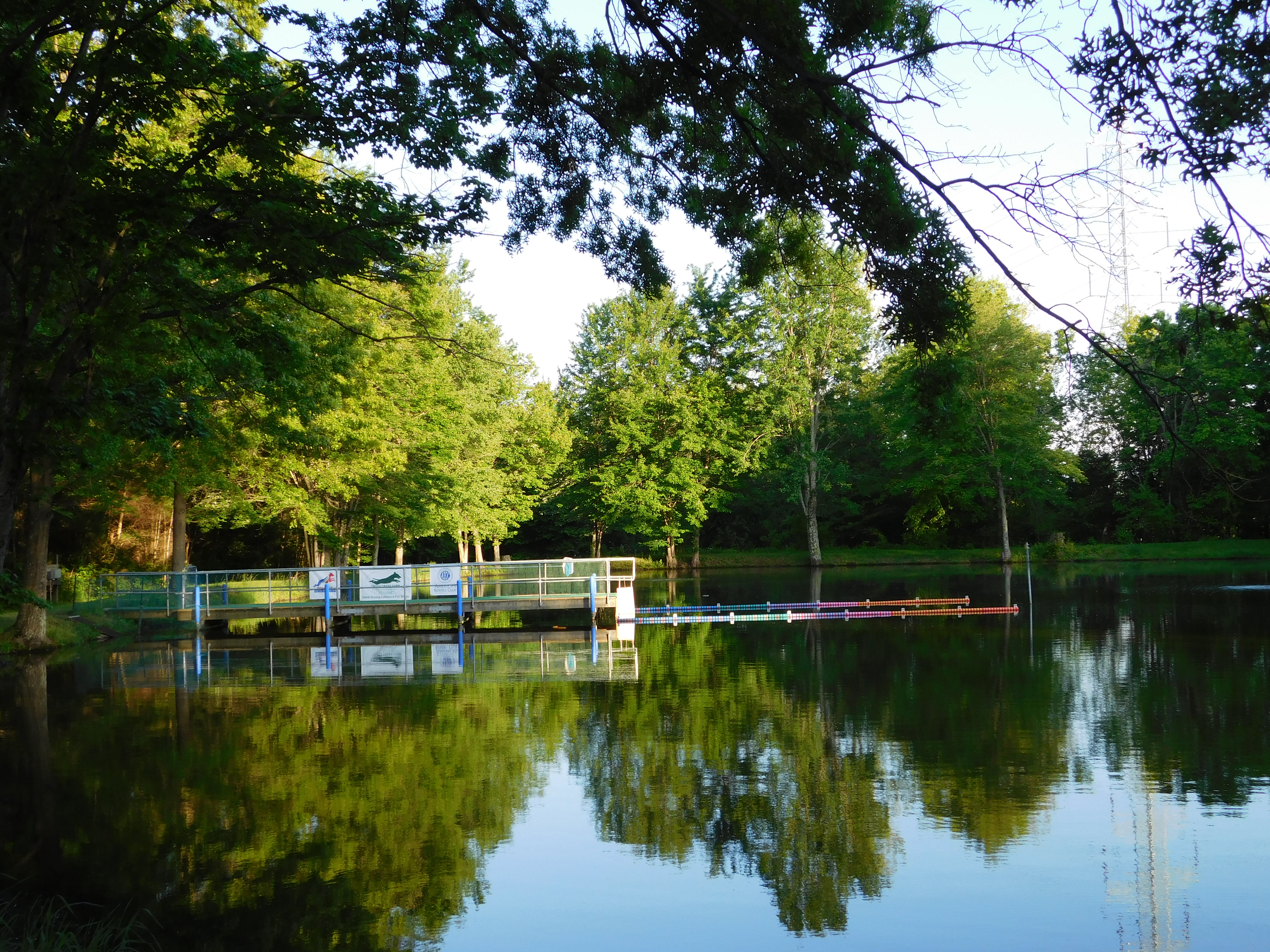 Results and Photos from the Cross Creek Farm NADD Qualifier AUG 20-21, 2016