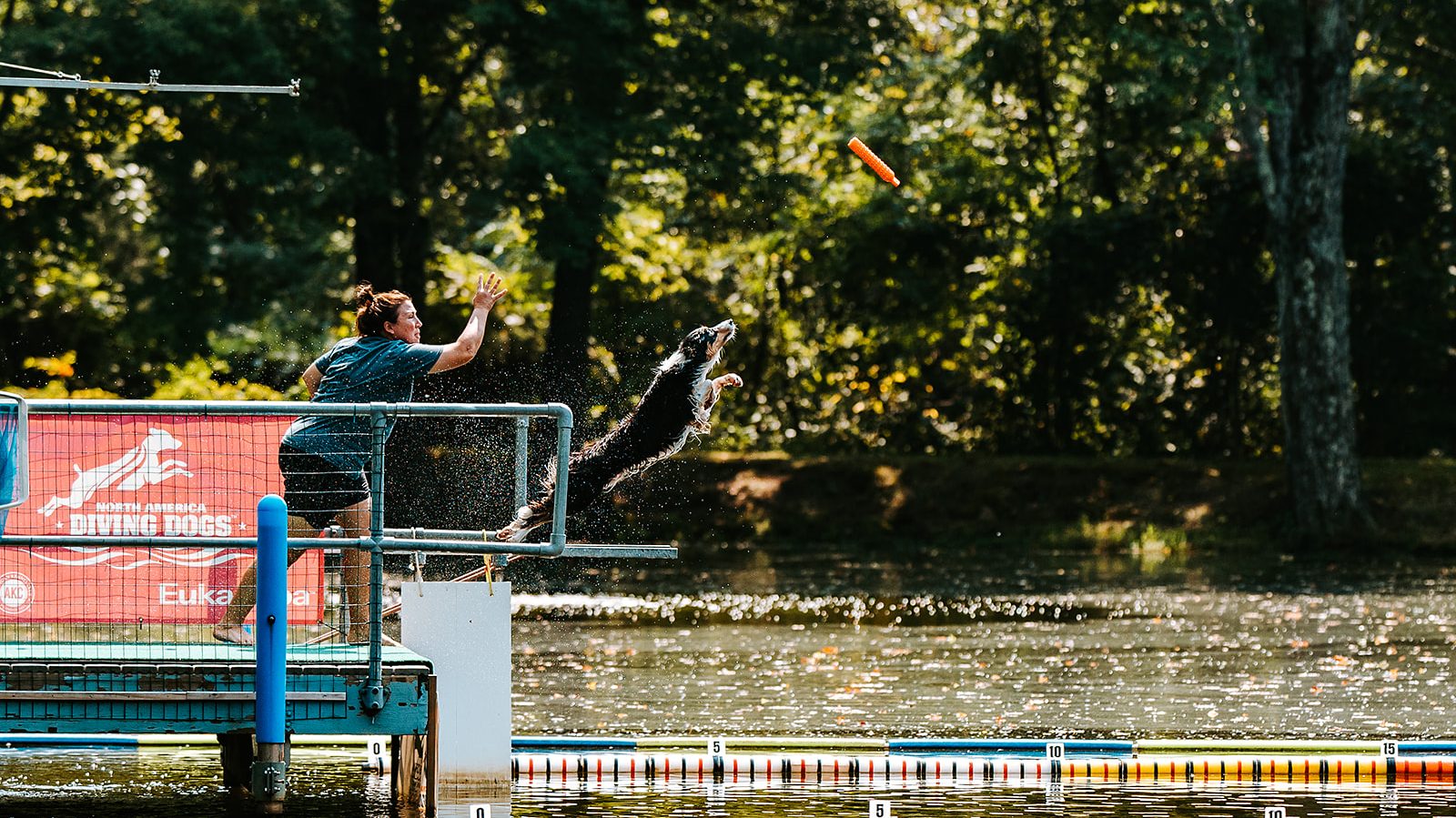 Cross Creek Farm Canine Water Sports